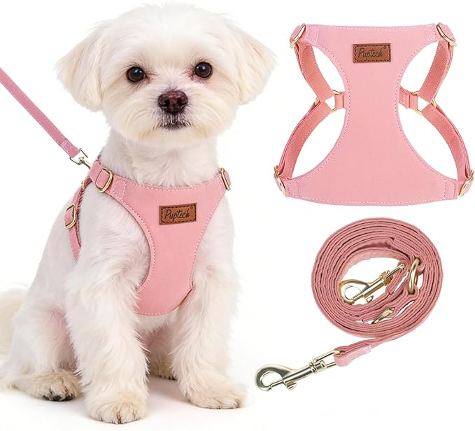 PUPTECK Dog Harness and Leash Set Small Sized, Lightweight Step-in Puppy Harness, Escape Proof No Pull Cute Pet Vest Harne...