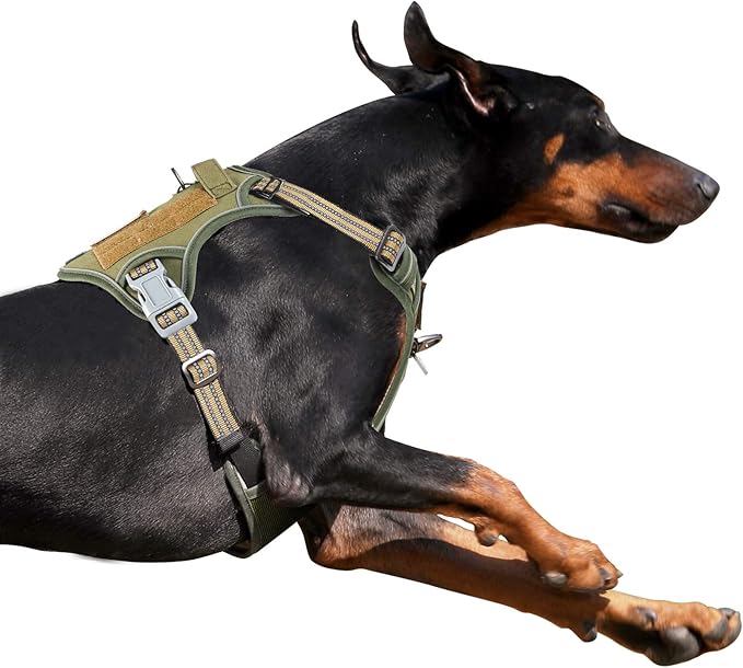 BUMBIN Tactical Dog Harness for Large Dogs No Pull, Famous TIK Tok No Pull Dog Harness, Fit Smart Reflective Pet Walking H...