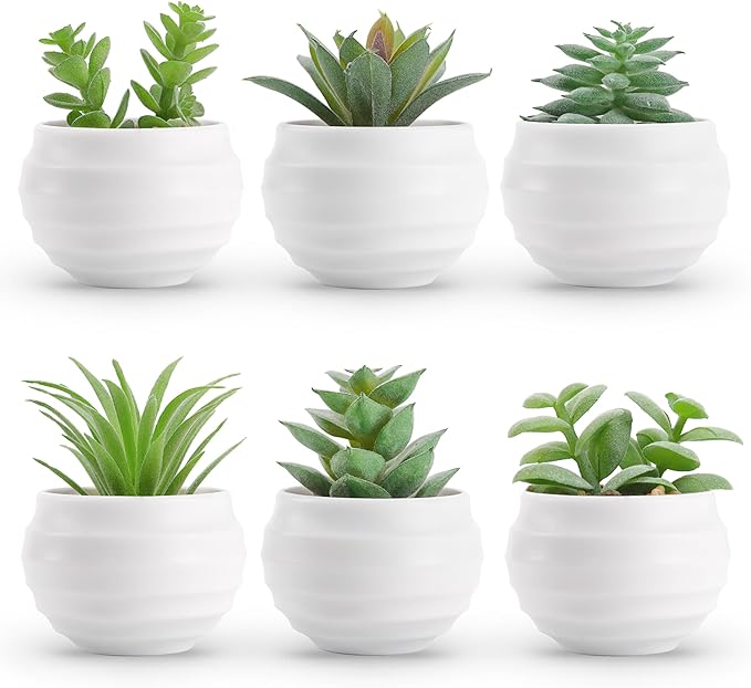 Der Rose Set of 6 Succulents Plants Artificial in Pots Small Fake Plants for Bedroom Aesthetic Living Room Shelf Bathroom ...