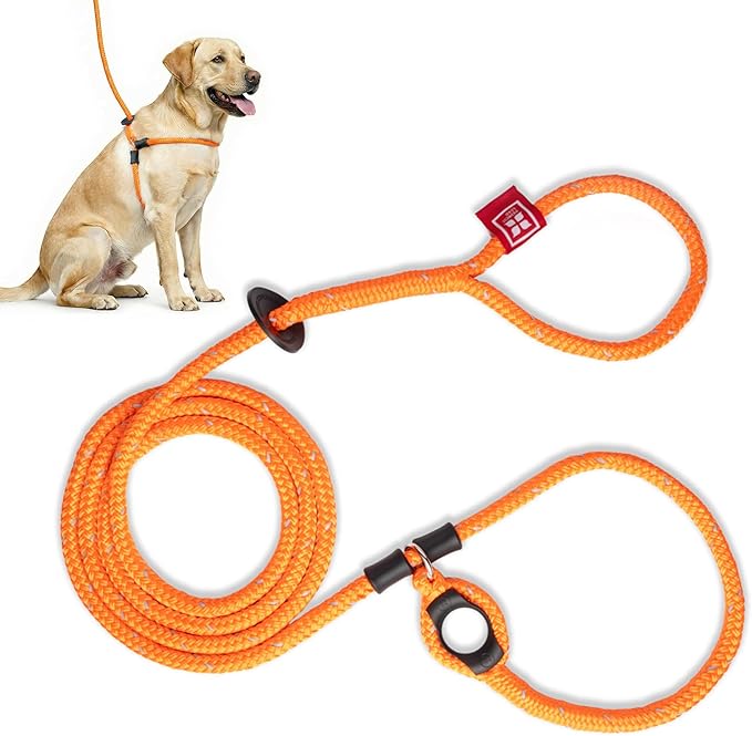 Harness Lead No Pull Dog Harness and Leash Set, Anti Pull Dog Harness for All Breeds and Sizes, One-Piece Cushioned Rope D...