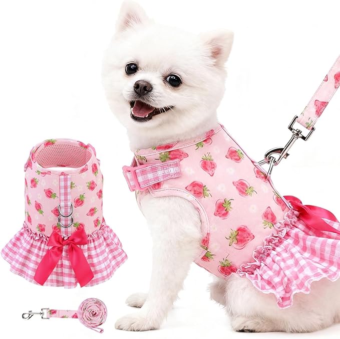 EXPAWLORER Dog Harness Small Medium Sized Dogs, Plaid Dog Dress Bowknot Harness and Leash Set, No Choke No Pull Soft Mesh ...