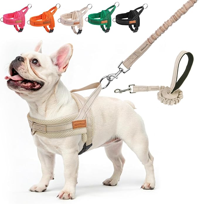 BEAUTYZOO Dog Harness No Pull, Quick Fit Dog Harness and Leash Set, Escape Proof Vest Harness with Soft Handle, Reflective...