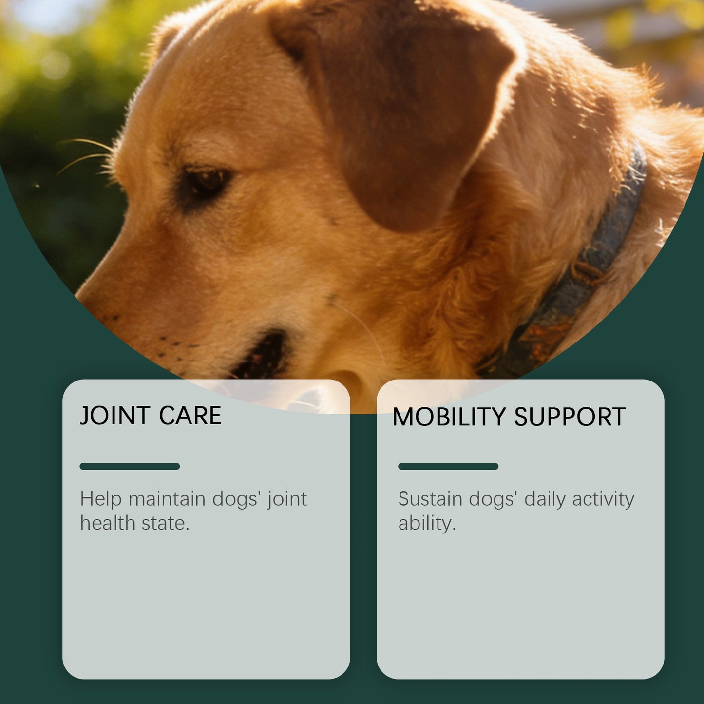 Daily Joint Care Chewable Tablets For Pets