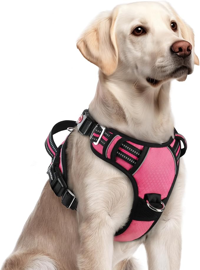 rabbitgoo Dog Harness for Large Dogs, No Pull Pet Vest with 3 Buckles, Adjustable Soft Padded Pet Harness with Easy Contro...
