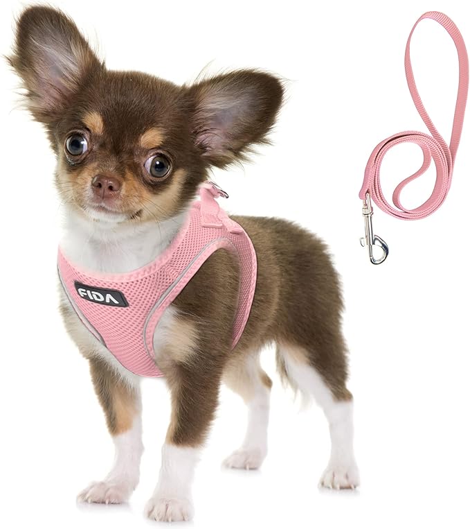 Fida Comfy Dog Harness with Leash, Soft Puppy Vest Escape Proof, Breathable Lightweight Soft Mesh, Adjustable Reflective S...