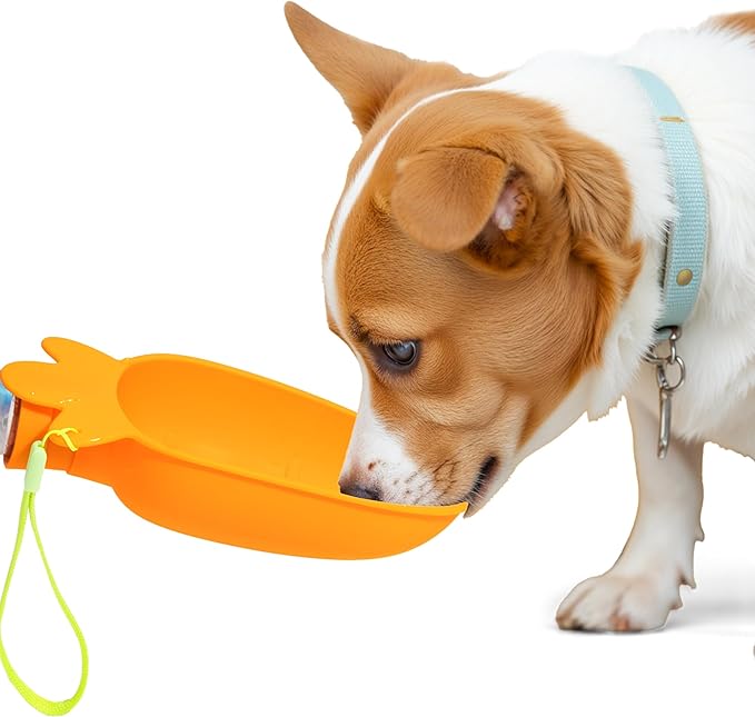 Li & Zhao Portable Dog Water Bottle Dispenser - Leak Proof Portable Water Bowl for Dog Foldable Carrot Water Bowl Travel S...