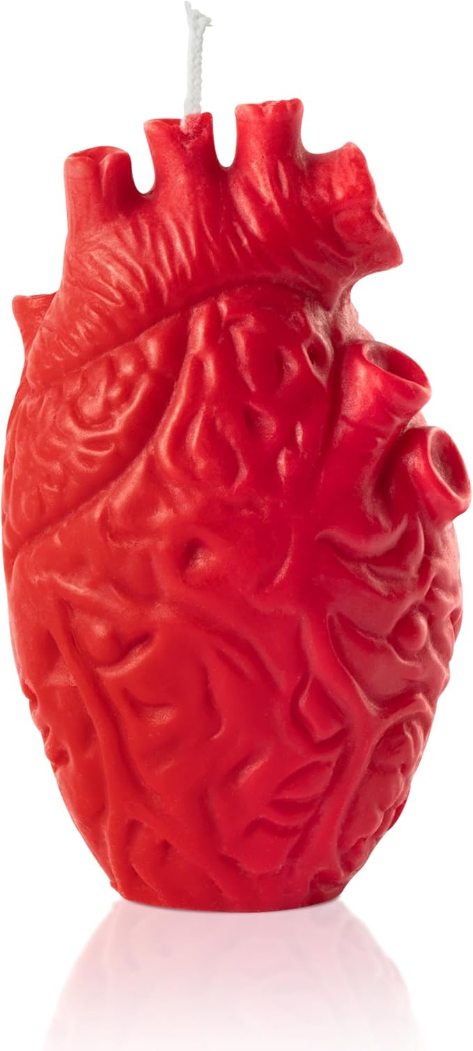 Zainpe Anatomical Heart Shaped Candle Gift Home Aesthetic Decor Pine Fragrance Natural Soy Wax Handmade Aromatherapy Candl...