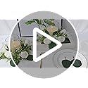 Acmee White Rose Candle Rings with Flameless Candles Sets - 12PCS Artificial Flower Eucalyptus Wedding Centerpiece 3 Inch ...