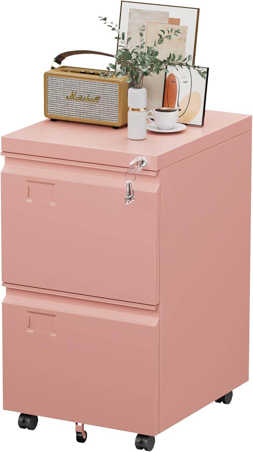 2 Drawer Mobile File Cabinet With Lock, Under Desk Metal Filing Cabinet For Office, Home,Vertical Cabinet Legal Letter Size, Need To Assembled