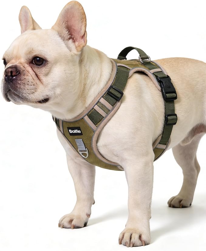 Small Dog Harness, Heavy Duty Tactical No-Pull Reflective Harness & Collar Set — Secure, No Choke, Easy On and Off Pet Ves...