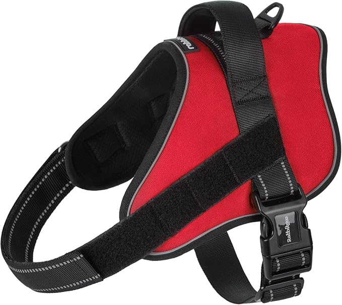 rabbitgoo Dog Harness Medium Sized Dog, Easy Wearing with One Buckle, No Choke No Pull Harness Buddy, Adjustable Reflectiv...