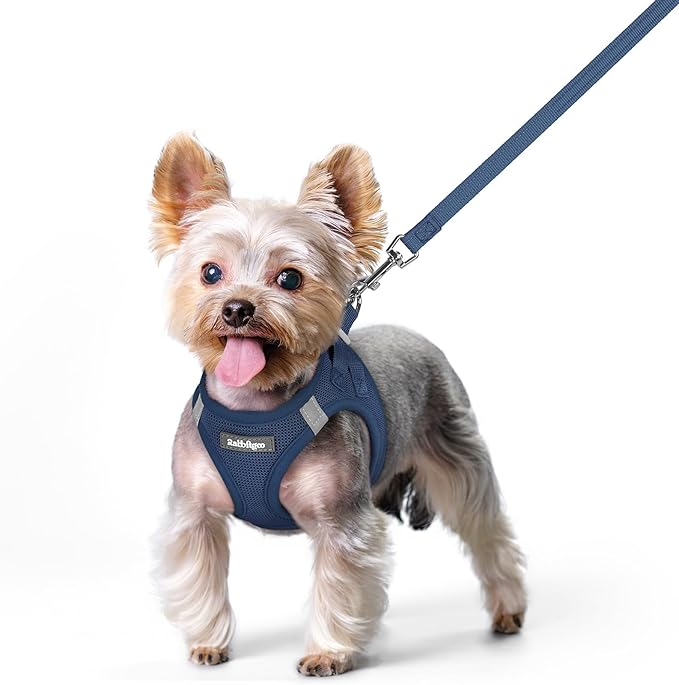 rabbitgoo Dog Harness Small Sized and Leash Set, Step in Soft Light Puppy Vest, Breathable Mesh Pet Harness, Reflective fo...
