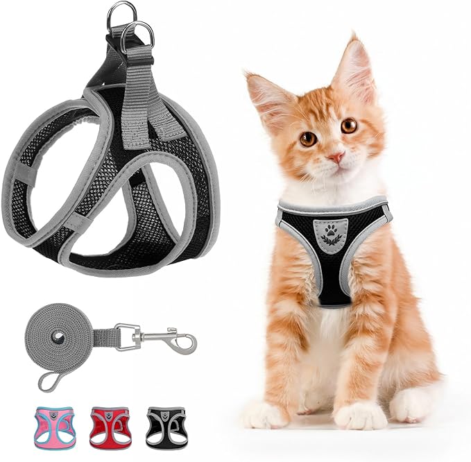 SCENEREAL Cat Harness and Leash Set Escape Proof, Adjustable Soft Air Mesh Kitten Harnesses for Girls Boys Small Medium Bi...