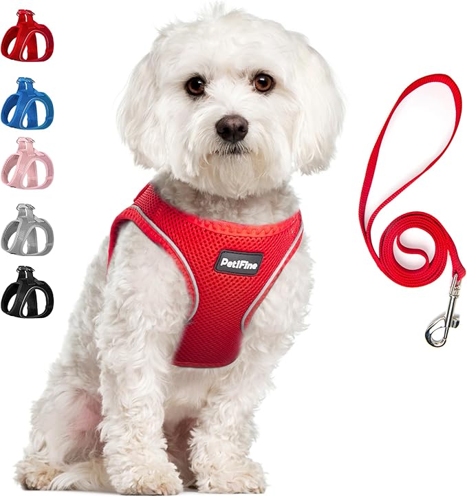 PetiFine Step in Small Dog Harness and Leash Set, Breathable All Weather Air Mesh Reflective Escape Proof, Step-in Vest Ha...