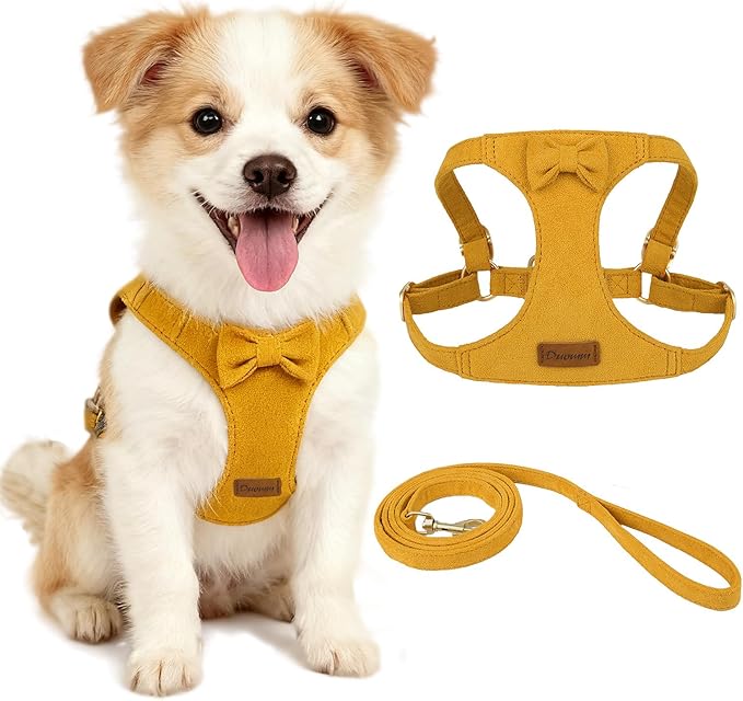 Vinqki Cute Small Dog Harness and Leash Puppy Set with Bowtie,Step in Dog Harnesses,Soft Adjustable Cat & Dog Vest,Harness...
