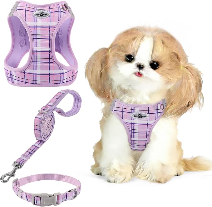 Gyuzh Dog Harness and Leash Set for Puppies - 3 Piece Step in No Pull Vest & Collar, Extra Small Kitten Harness, Breathabl...