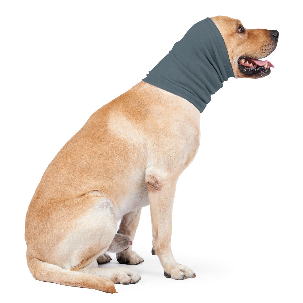 New Rabbit-fleece Pet Dog Comfort And Warmth Scarf