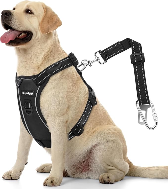 VavoPaw Dog Seat Belt Harness for Car, Dog Car Harness Adjustable Mesh Breathable & Dogs Seatbelt Safety Tether with Elast...