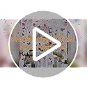 5pcs 36 ft Flower Garland Artificial Hanging Wildflower Garland Fake Silk Flower Vines Floral Garlands with Butterfly for ...