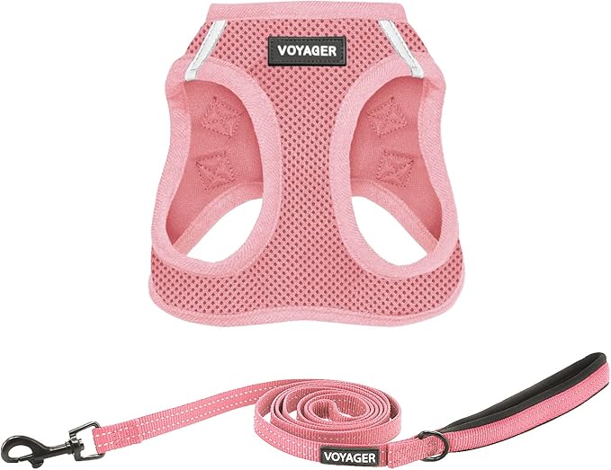 Best Pet Supplies Voyager Step-in Air All Weather Mesh Harness and Reflective Dog 5ft Leash Combo with Neoprene Handle, fo...