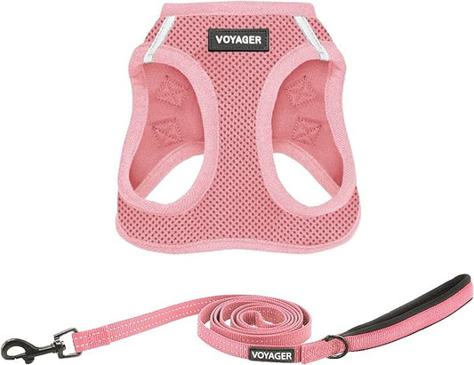 Best Pet Supplies Voyager Step-in Air All Weather Mesh Harness and Reflective Dog 5ft Leash Combo with Neoprene Handle, fo...