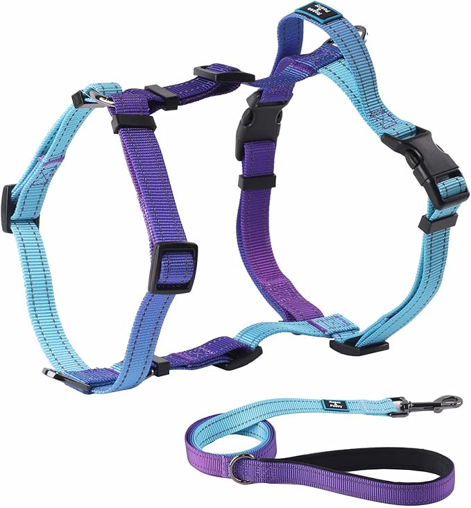 Roses&Poetry Dog Harness and Leash Set for Mediumn Dogs, No Pull Dog Harness Adjustable Reflective, Dog Halter Harnesses C...