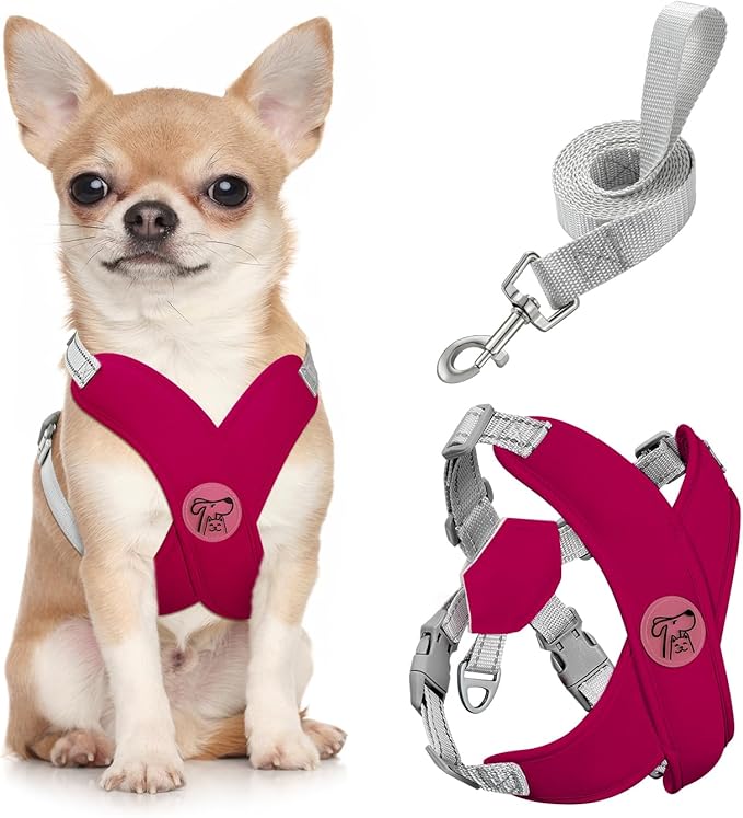 Pawaboo Small Dog Harness and Leash Set, Puppy Harness X-Frame No Pull No Choke, Dog Vest Harness Adjustable for Small Med...
