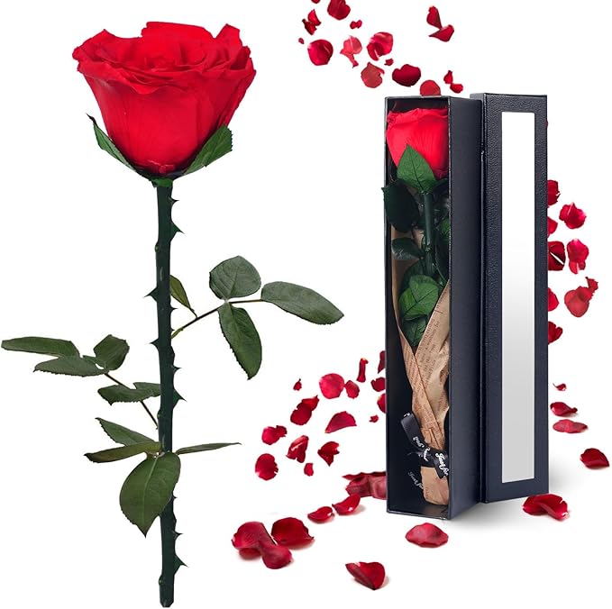 YAMPP Preserved Flowers Gifts for Women: Valentines Day Mothers Day Birthday Christmas Anniversary Wedding Gift for Mom Gi...