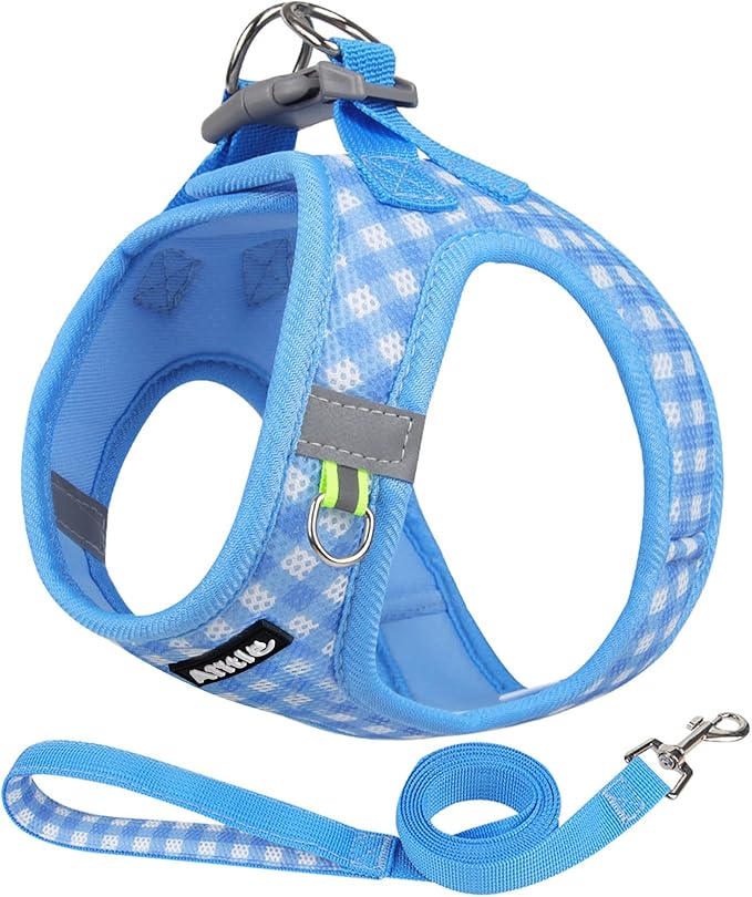 AIITLE No Pull Dog Harness and Leash Set, Step in No Chock Soft Mesh Dog Harnesses Reflective for Extra-Small Puppy Dogs a...