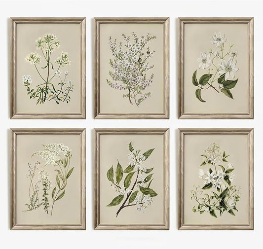 Vintage Botanical Wall Art Set of 6 Neutral Floral Canvas Wall Decor Wildflower Wall Art Watercolor Flower Prints Botanica...