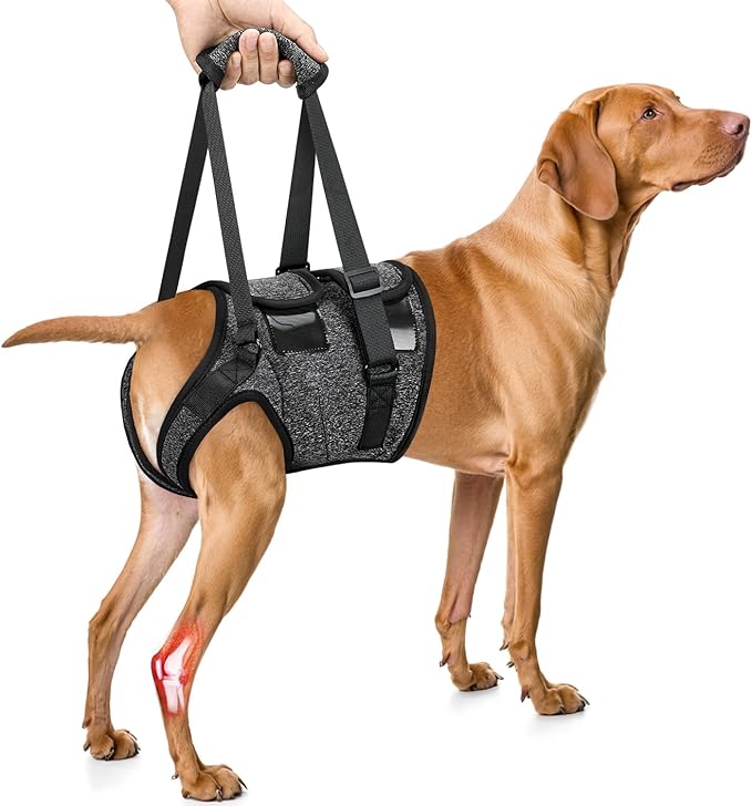 SlowTon Dog Lift Harness - Adjustable Dog Sling for Medium Large Dogs, Hind Leg Support to Help Rehabilitate, Soft Padded ...