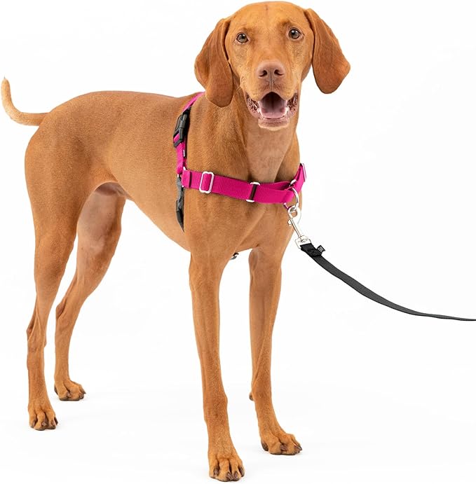 PetSafe Easy Walk Harness for Dogs - Pull-Free Walks - Patented Martingale Loop Design - Front Chest Leash Attachment - Ad...