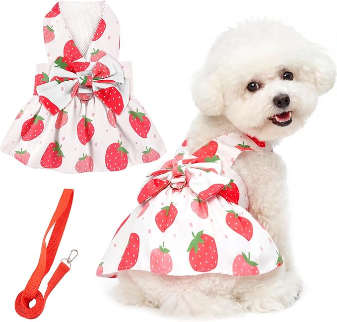 BAOBICUTE Dog Dress Harness Dresses Leash Set for Small Dogs Cute Girl Dog Clothes with Bowknot Puppy Outfits for Shih Tzu...