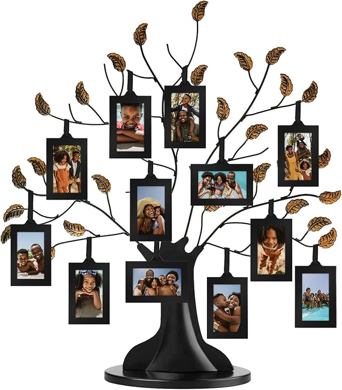 Americanflat Family Tree Picture Frame - Includes 12 Hanging 2x3 Picture Frames - Adjustable Ribbon Tassels - Ideal as Mot...