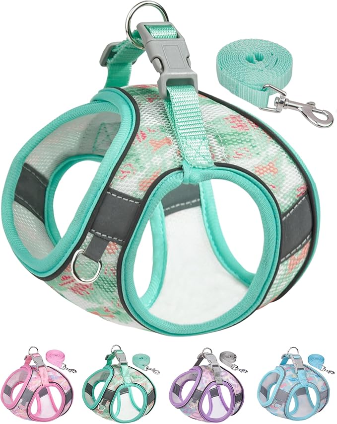 Aecllcea Dog Harness for Small Medium Dogs No Pull, Cat Harness and Leash Set, Step in Puppy Harness. (Green, S)
