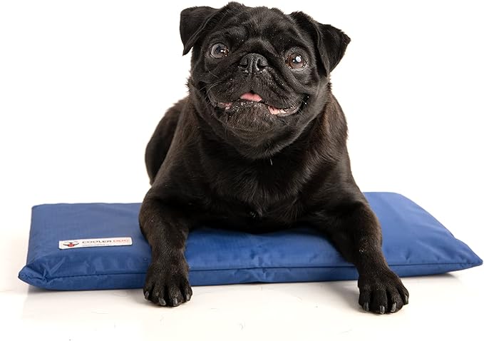 CoolerDog Hydro Cooling Mini Mat for Dogs – Dog Cooling Mat & Cooling Pad for Hot Weather – Triple Layer Ice & Water Cooli...