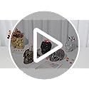BOIHEGU Skull Bowl Decorative Skull Vase Makeup Brush Pen Holder Organizer Dresser Gothic Table Organizer Decoration, Purp...