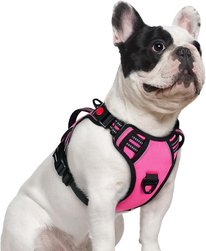 rabbitgoo Dog Harness Small Sized Dog, No Pull Pet Harness with Soft Padded Handle, Adjustable Reflective Vest with 3 Buck...