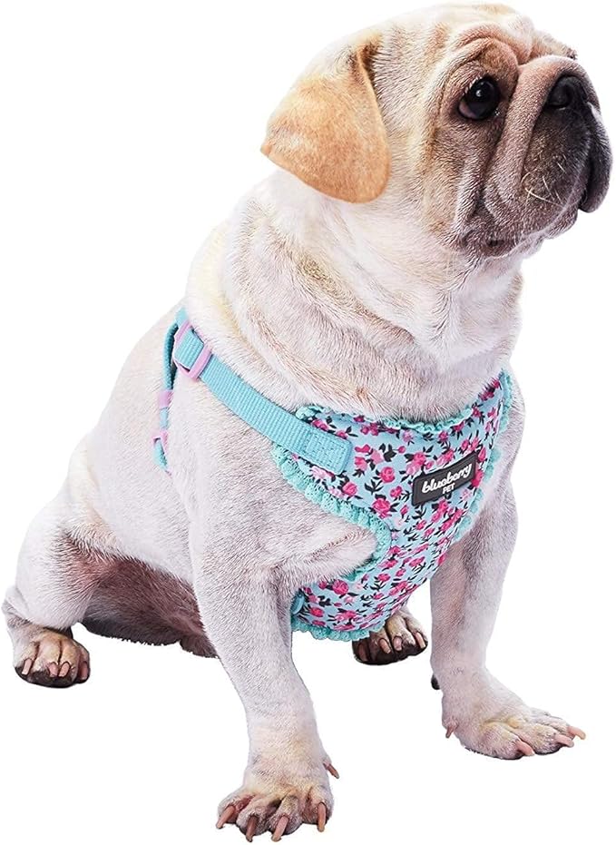 Blueberry Pet Soft & Comfy Made Well Cute Floral No Pull Mesh Dog Harness Vest in Light Blue, Chest Girth 17.5"-21", Smal...