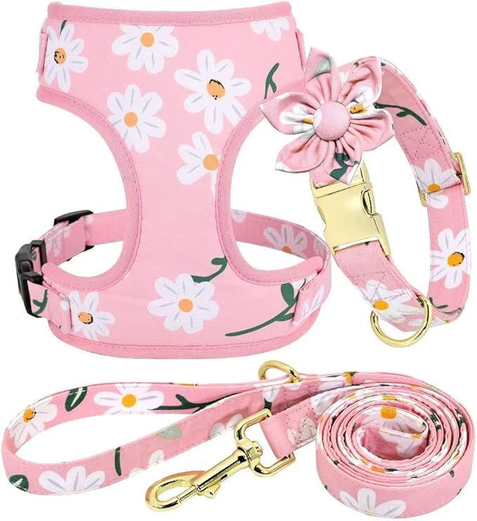 Beirui Cute Girl Dog Collars, Harnesses & Leashes Set - Adjustable Dog Collar and Leash Set with Flower - Soft Mesh Dog Ve...