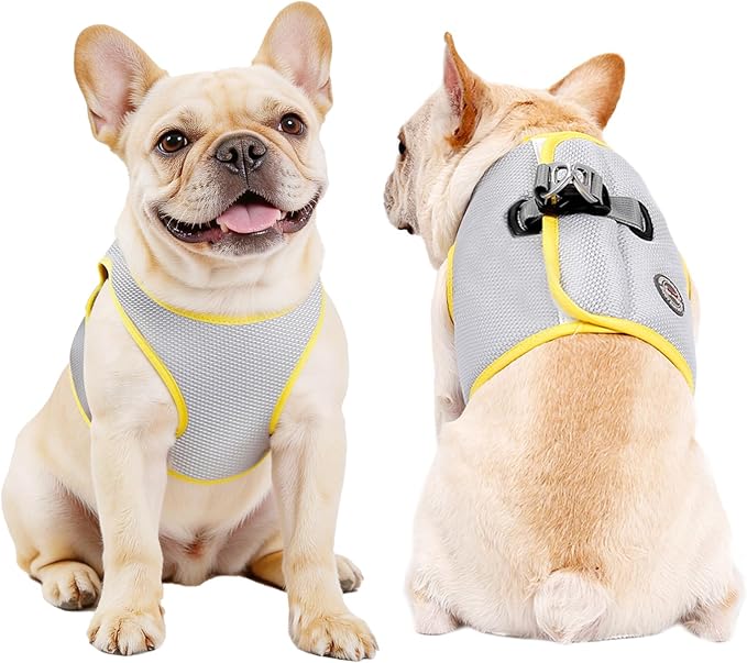 Huafly Dog Cooling Vest with Instant Chill-Heat Reflective Mesh Evaporative Dog Cooling Shirt,Adjustable Quick Release Coo...