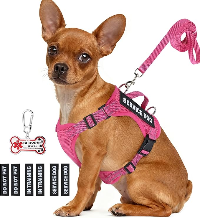 Service Dog Vest for Small Breed Dogs with ID Tag – Lightweight Puppy Harness and Leash Set with 6 PCS Patches, Ideal Serv...