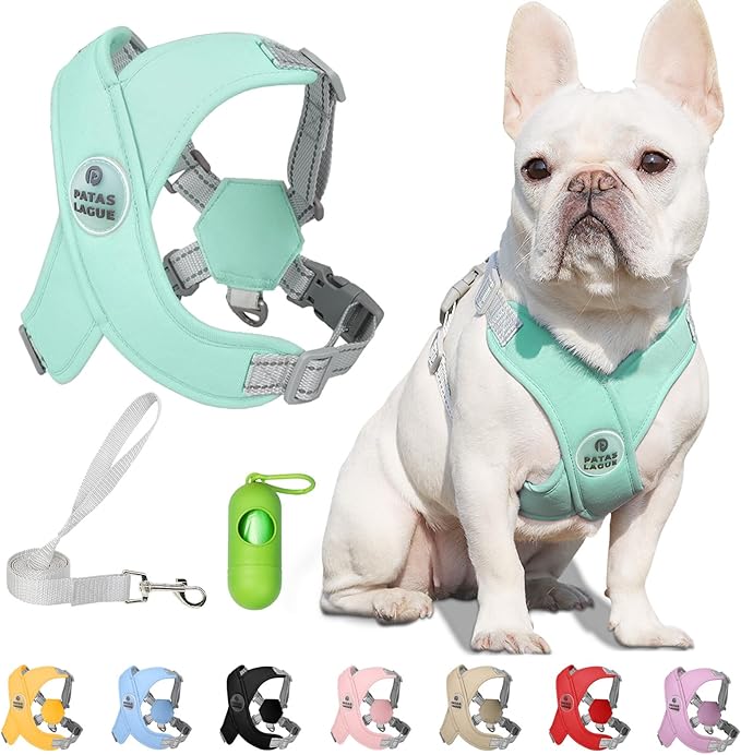 Patas Lague Dog Harness with Leash Set Adjustable Soft Padded Step-in Dog Vest No Choke No Pull Reflective for Small Mediu...