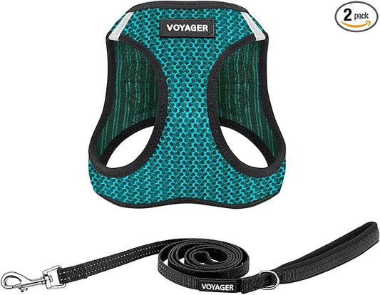 Best Pet Supplies Voyager Step-in Air All Weather Mesh Harness and Reflective Dog 5ft Leash Combo with Neoprene Handle, fo...