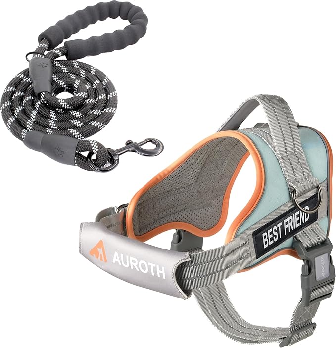 AUROTH Dog Harness and Leash Set, Soft Padded Service Dog Vest with 5.25FT Dog Leash, No Choke, Easy On Pet Vest, Adjustab...