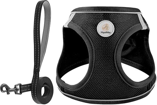 Hipubby Dog Harness and Leash Set, No Pull Soft Mesh Puppy Harness for Small Medium Dogs, Cats - Step in Adjustable Reflec...