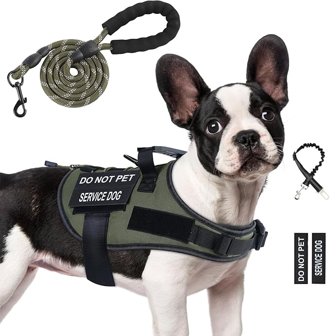 No Pull Dog Harness Small Medium Sized Dog, Service Dog Harness and Leash Set with 4 Patches, Adjustable Easy Walk Dogs Ha...