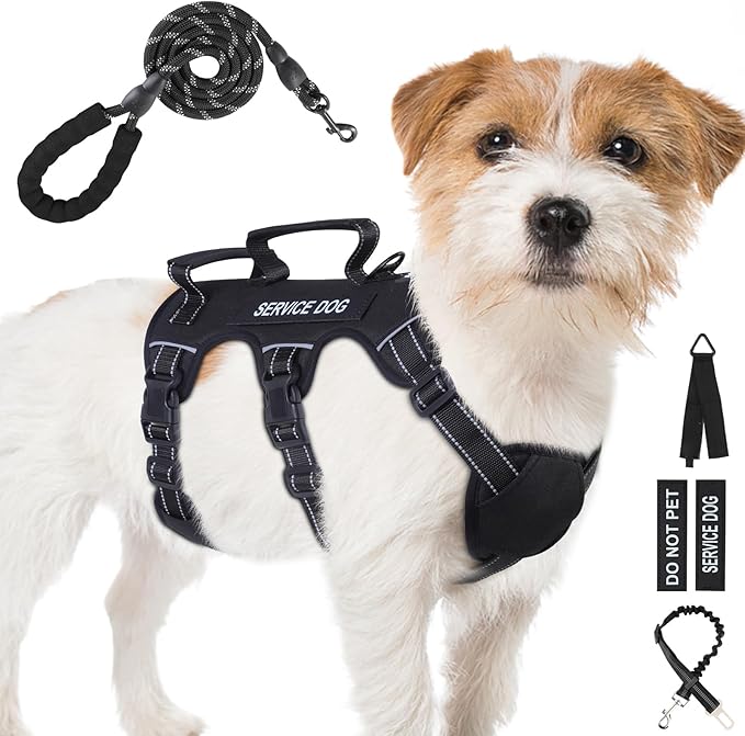 Escape Proof Dog Harness for Large Medium Sized Dogs Six Point Adjustable, Service Dog Vest Harness and Leash Set, No Pull...