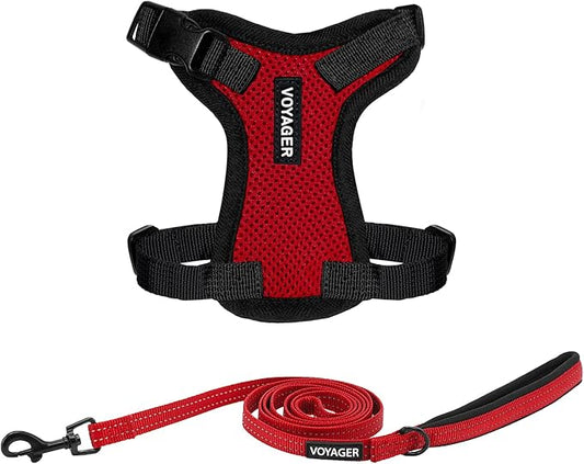 Best Pet Supplies Voyager Step-in Lock Pet Harness w Reflective Pet Leash Combo Set with Neoprene Handle 5ft - Supports Sm...