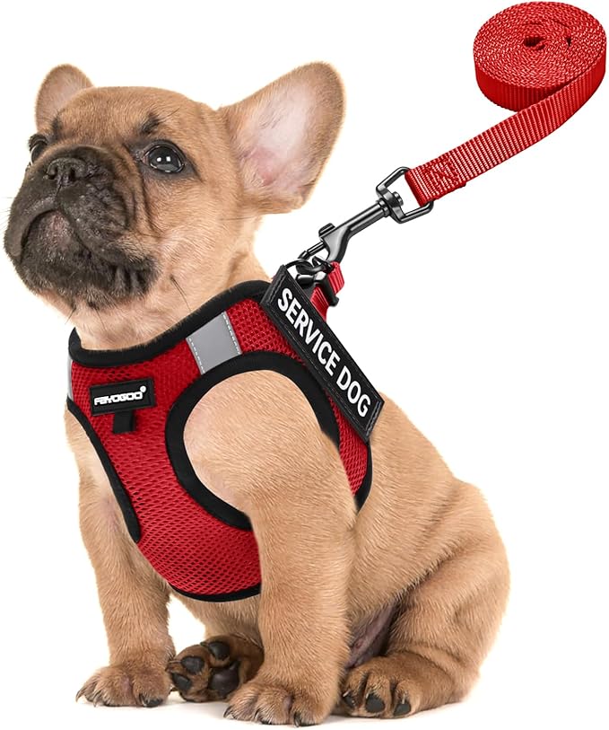 FAYOGOO Service Dog Vest for Small Dogs - Lightweight Dog Harness with 6PCS Removable Patches - Puppy Harness and Leash Se...